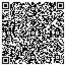 QR code with Carlile Valuation Inc contacts