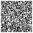 QR code with Blm Service Inc contacts