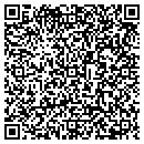QR code with Psi Tire Supply LLC contacts