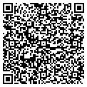 QR code with Dmwr contacts