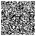 QR code with Tilt contacts