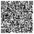 QR code with Ams contacts