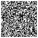 QR code with Boro of Pitman contacts