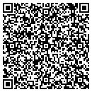 QR code with Professional Autotech contacts