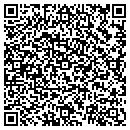 QR code with Pyramid Appraisal contacts