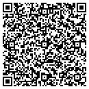 QR code with Blue Skies Travel contacts
