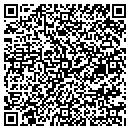QR code with Boreal Photo Vermont contacts