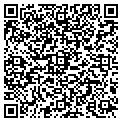 QR code with Tifum contacts