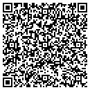 QR code with Pyramid 1 Inc contacts