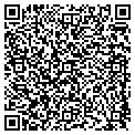 QR code with Tilt contacts