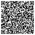 QR code with Lamina contacts