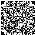 QR code with Shadow contacts