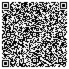 QR code with Pegasus Financial Inc contacts