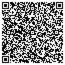 QR code with Pyramid Travel Aspen contacts