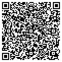 QR code with Golden contacts