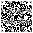 QR code with Public Library Systems contacts