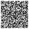 QR code with Shells contacts