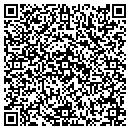 QR code with Purity Laundry contacts