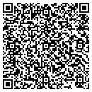 QR code with Cinnamon Twisp Bakery contacts