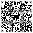 QR code with Pulse Train Technology contacts