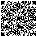 QR code with Ppa Pyro Spectaculars contacts