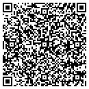QR code with Blue Line Travel Inc contacts