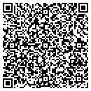 QR code with Chestnut Electronics contacts