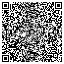 QR code with Premiere Travel contacts