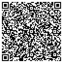 QR code with City Of Carson City contacts