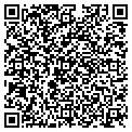 QR code with Buckle contacts