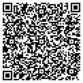 QR code with Papilio contacts