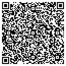 QR code with City of Orange City contacts