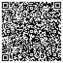 QR code with Cinesse 3 Group Ltd contacts