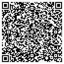 QR code with Camel Solutions LLC contacts