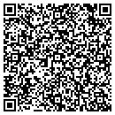 QR code with Carroll County Jail contacts