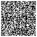 QR code with Chelesvig Appraisals contacts