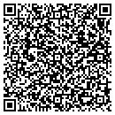 QR code with Blue Marble Travel contacts