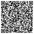 QR code with T Gif contacts