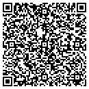 QR code with Cygnet Strategies LLC contacts