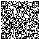 QR code with Crystal Swan contacts