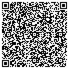 QR code with Badlands Resources LLC contacts