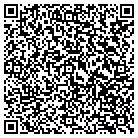 QR code with Blue Water Travel contacts