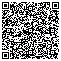 QR code with Pepe F contacts