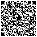 QR code with Proyecto LLC contacts