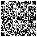 QR code with Puig Properties Inc contacts