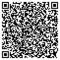 QR code with Megami contacts