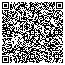 QR code with Carls Consulting Ltd contacts