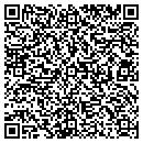 QR code with Castillo Lawn Service contacts