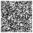 QR code with Blue Ribbon Travel contacts