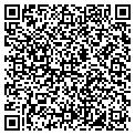 QR code with Lady Cake Inc contacts